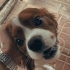 Oscar