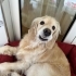 LATİŞYA