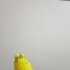 Limon