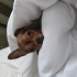 Mochi