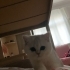 monica