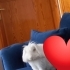 Miniş