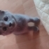 Gümüş