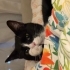 Oscar