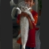 Şapşik