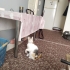 ŞEKER