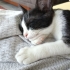Kiira