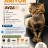 Ayza