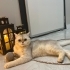 Leon