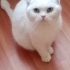 ŞEKER