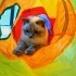Lucy