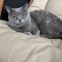 Eylül