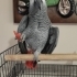 Peker