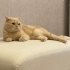 Diego