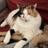 Pati
