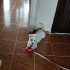 Lucy