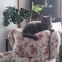 kuzey