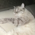Tom