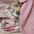 Misu