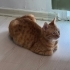 Hera