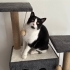 Bumi