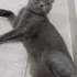 LUSİ