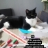 Luky