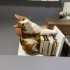 Porco