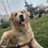 MİRA CAN