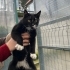 Zeytin