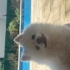 Casper