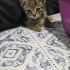 MİNNOŞ
