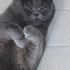 mia