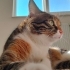 Miu