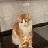 Ares