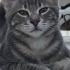 Kuzey