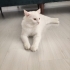 Hera