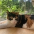 Mia