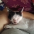 Molly