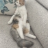 Nazlı