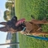 Tobi