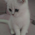 Ares