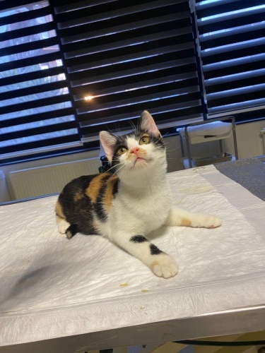 Beren’e evinizde yer verir misiniz? fotoğraf