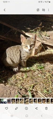 Yakışıklıya ömürlük yuva arıyorum fotoğraf