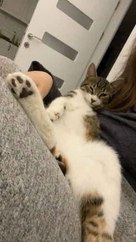 Kendisi ENGELLİ Hayatı ENGELSİZ Olsun fotoğraf