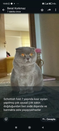 Güzel kızımıza acil yuva fotoğraf