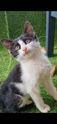 Bu Garip'e Bir Yuva Yok Mu? fotoğraf