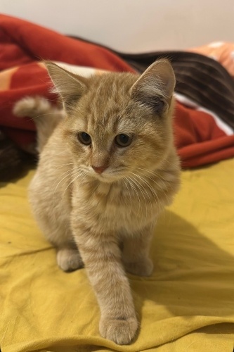 25 yaş altı kesinlikle aramasın!!!!! fotoğraf