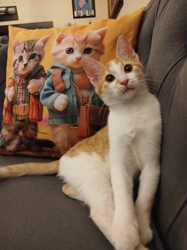 Minik Güneş ailesini bekliyor fotoğraf