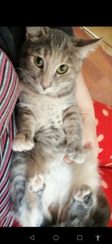 Bu güzel kıza yuva olmak ister misiniz? fotoğraf